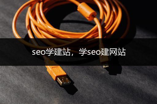 seo学建站，学seo建网站